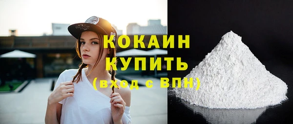 трава Карпинск