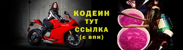 трава Карпинск