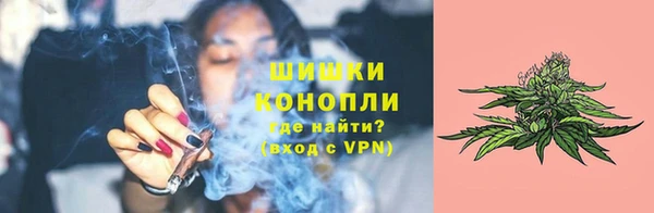 трава Карпинск