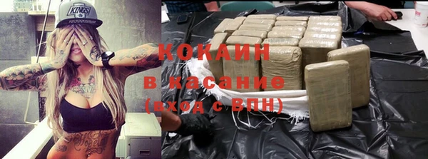 трава Карпинск