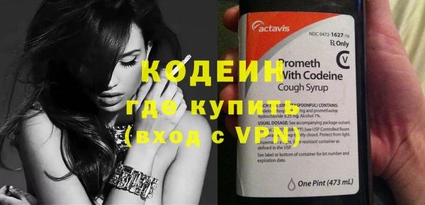 трава Карпинск