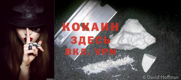 трава Карпинск
